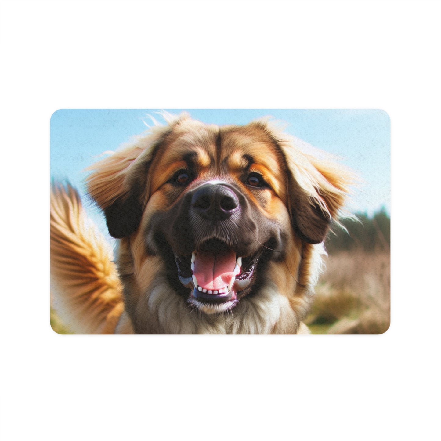 Pet Food Mat (12x18) - Estrela Mountain Dog