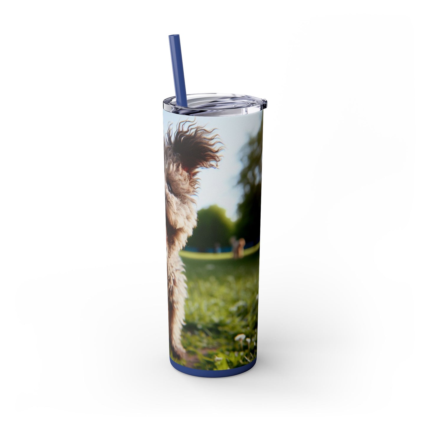 Pumi Skinny Tumbler with Straw, 20oz