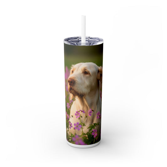 Spinone Italiano Tumbler with Straw, 20oz