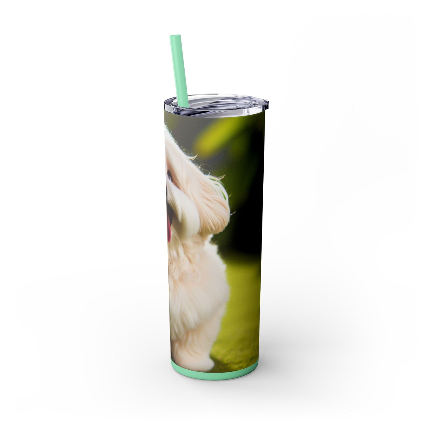 Havanese Tumbler with Straw, 20oz