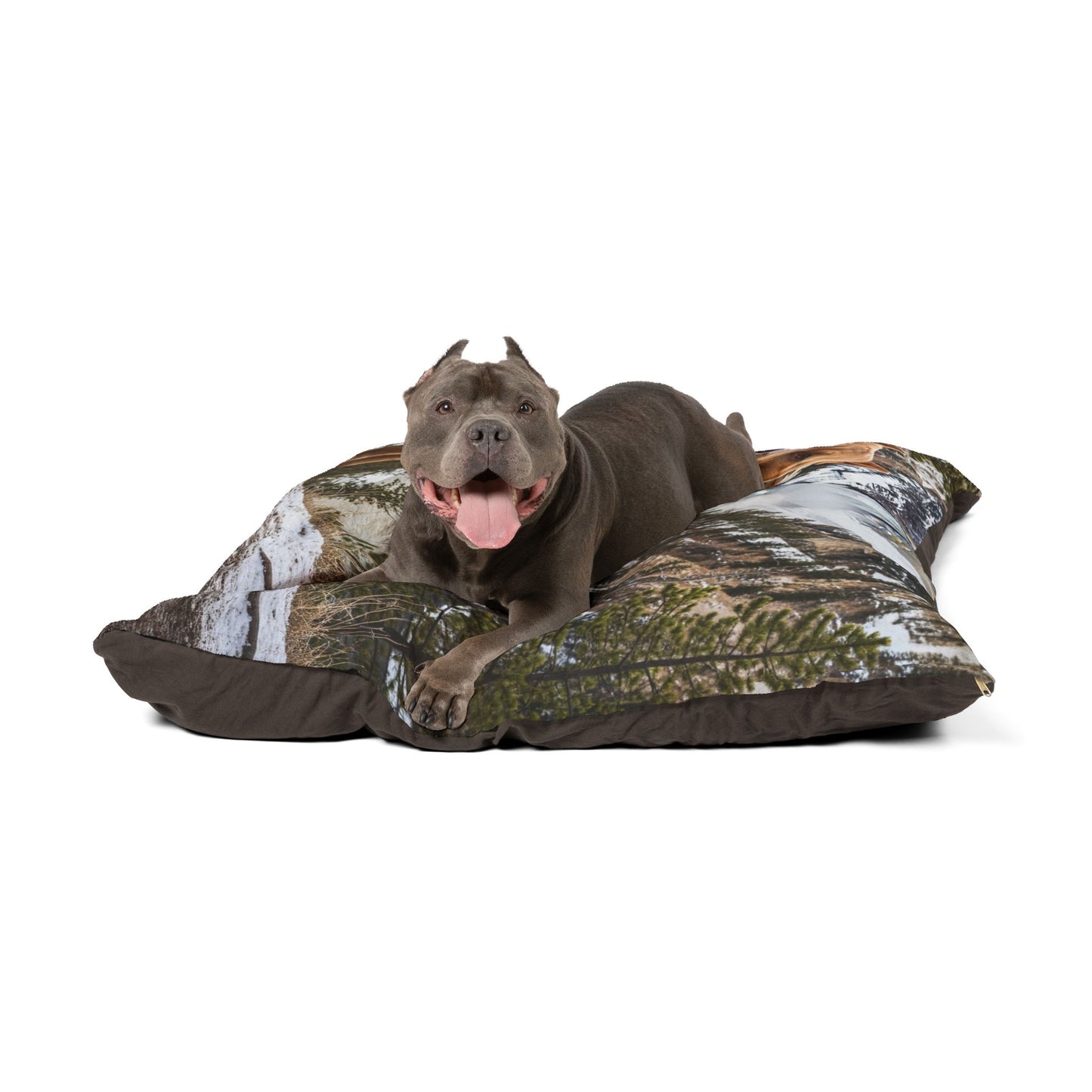 American Bully Pet Bed