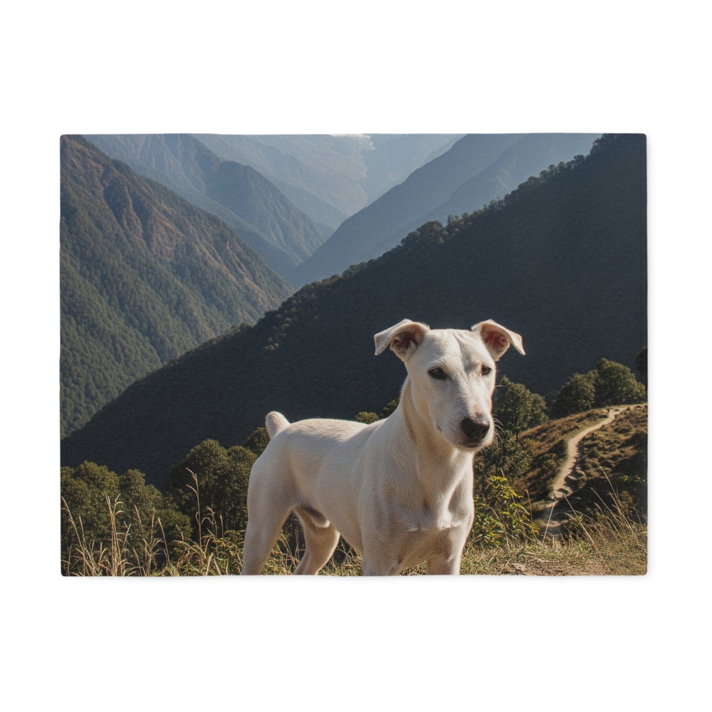 Gull Terrier Blanket
