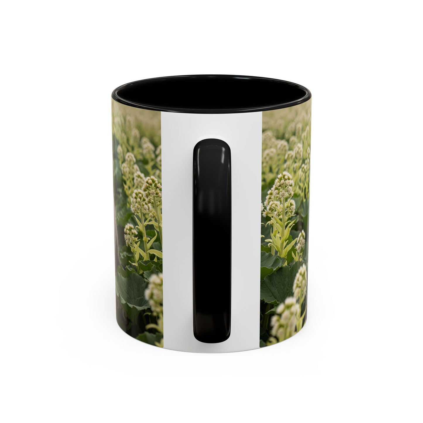 Mug à café avec motif Schnauzer standard - Cadeau idéal pour les amoureux des chiens