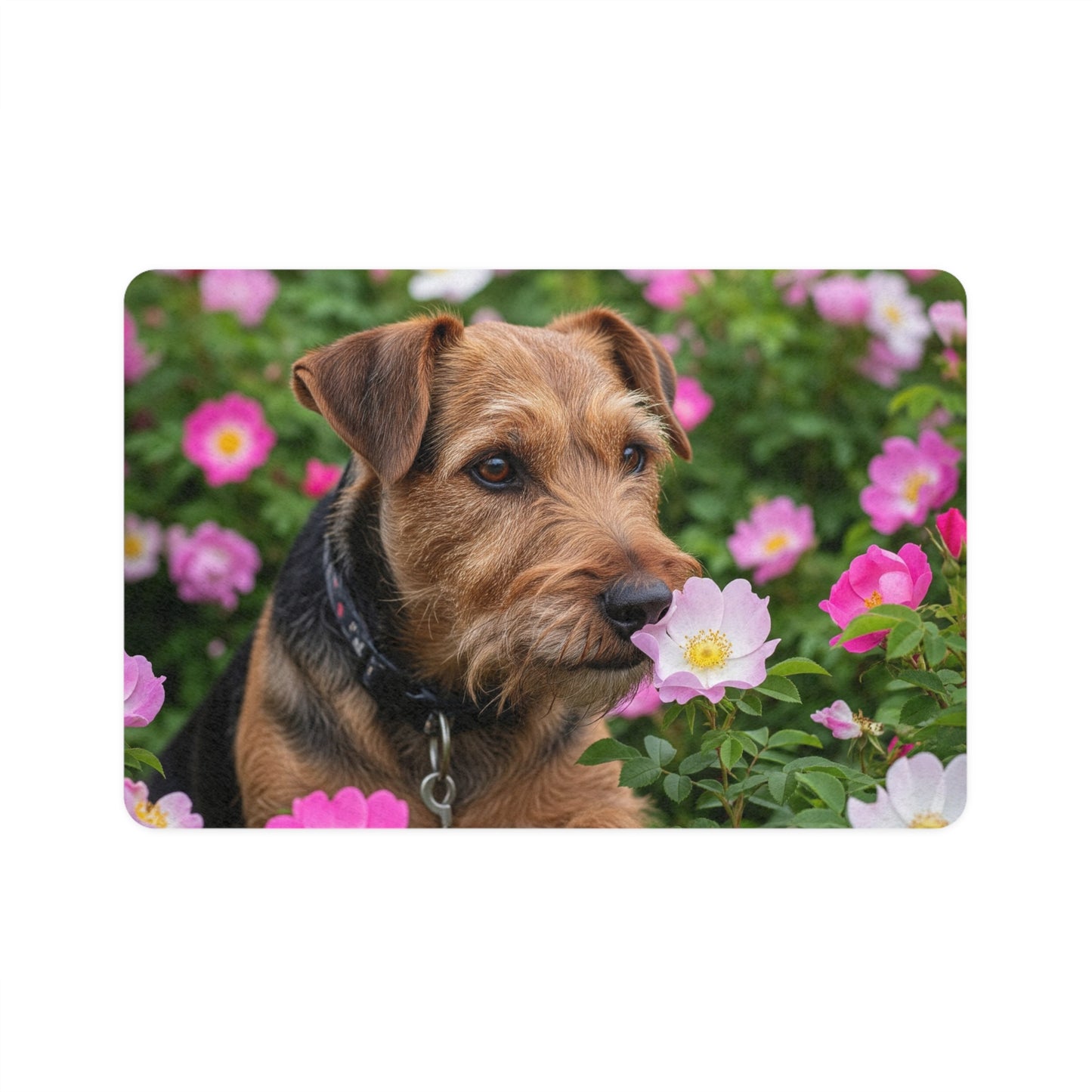 Pet Food Mat (12x18) - Teddy Roosevelt Terrier
