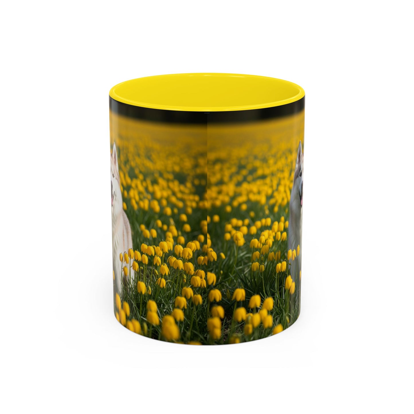 Mug à café avec motif Husky de Sibérie - Le cadeau idéal pour les amoureux des chiens