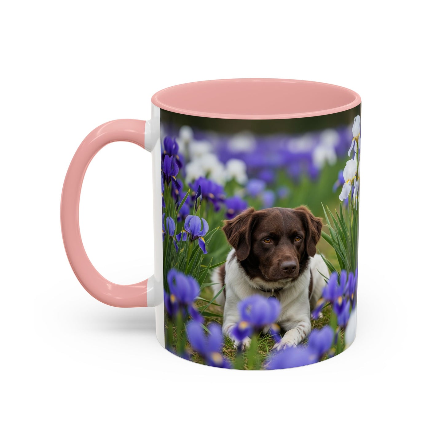 Mug Stabyhouns Accent - Cadeau idéal pour les amoureux des chiens