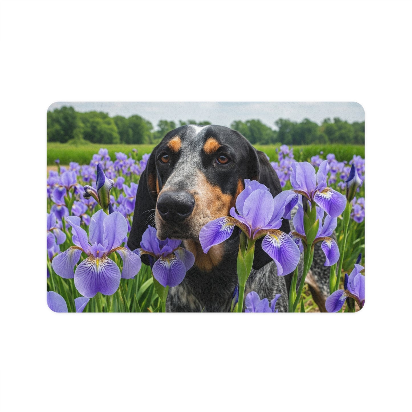 Pet Food Mat (12x18) - Bluetick Coonhound