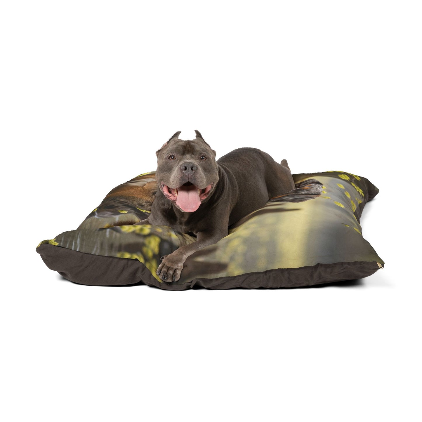 Cama para mascotas Catahoula Leopard