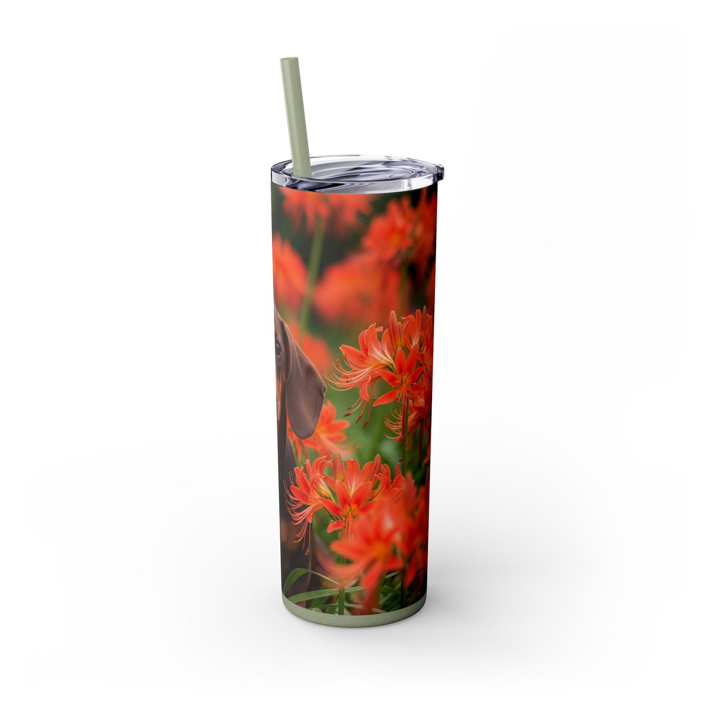 Gobelet isotherme Teckel avec paille, 590 ml