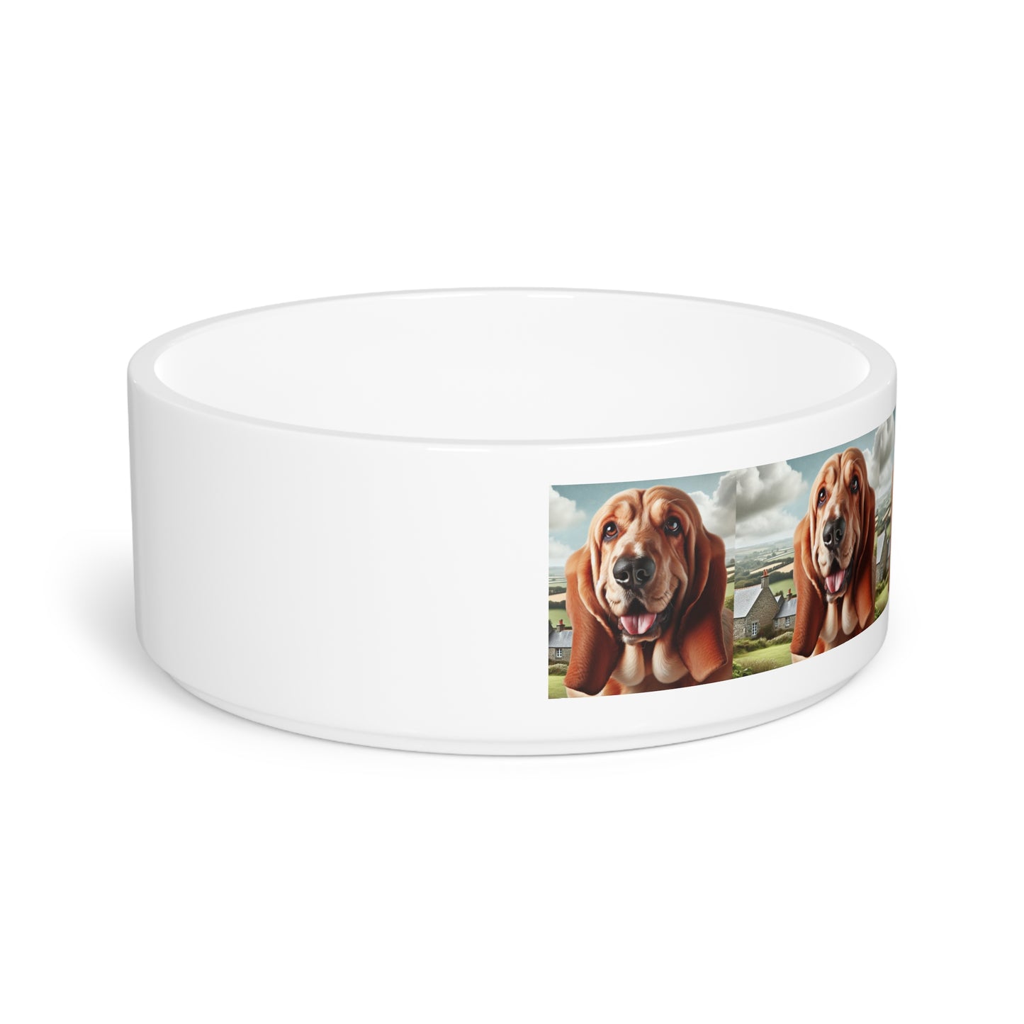 Basset Fauve de Bretagne Dog Pet Bowl