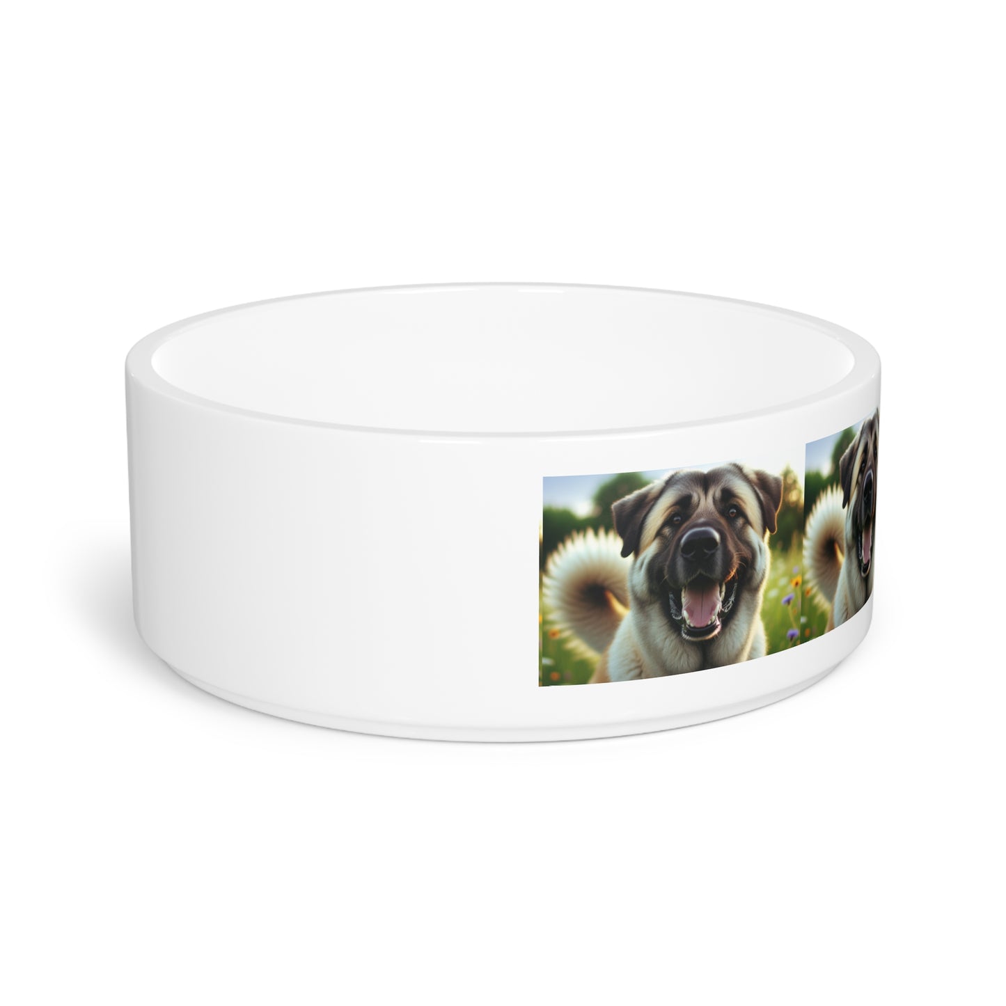 Kangal Shepherd Dog Pet Bowl