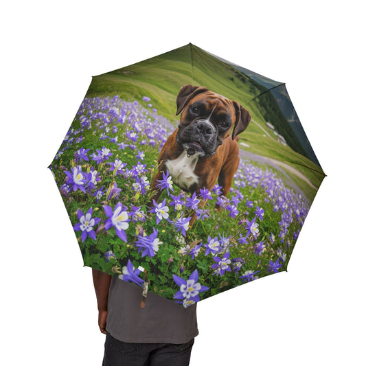 Boxer Semi-Automatic Foldable Umbrella