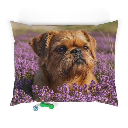 Griffon Bruxellois Pet Bed