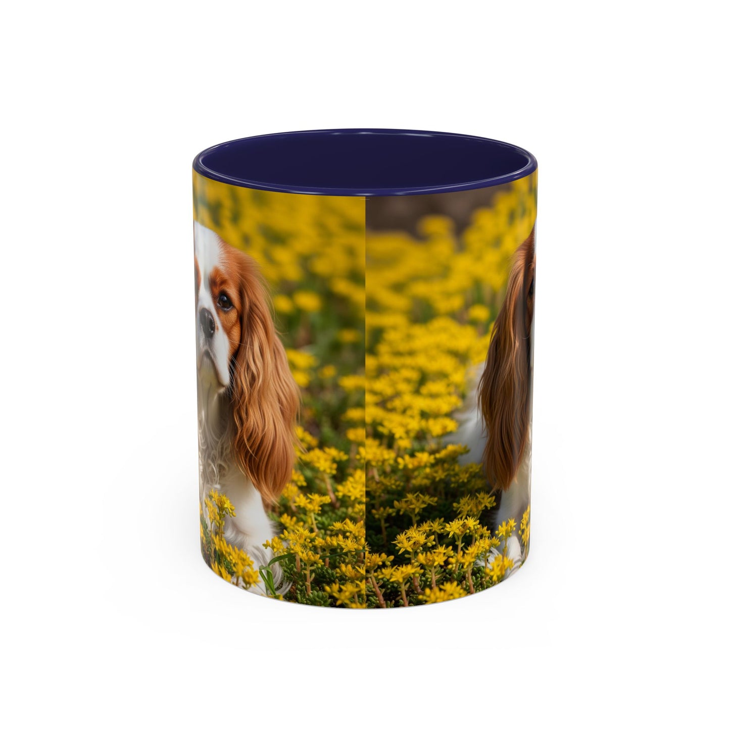 Cavalier King Charles Spaniel Accent Coffee Mug - Perfect Gift for Dog Lovers