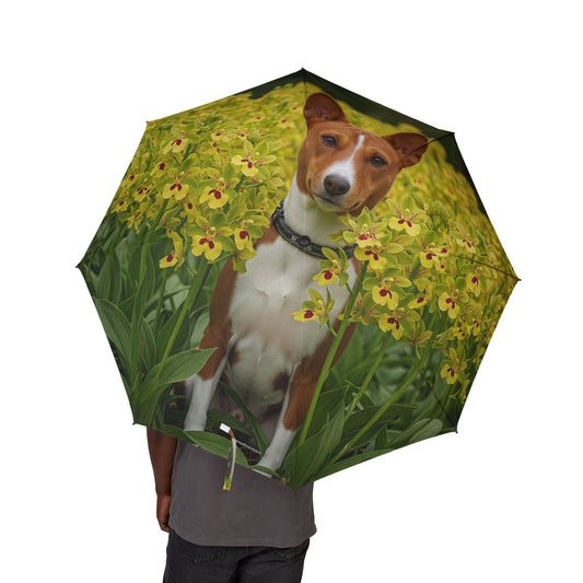 Basenji Semi-Automatic Foldable Umbrella
