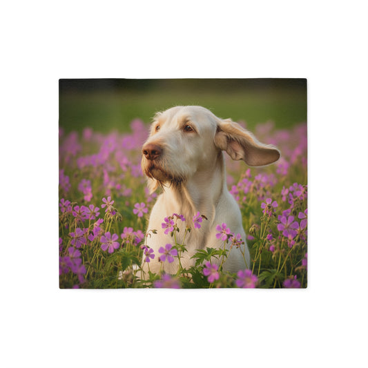 Spinone Italiano Sweatshirt Blanket