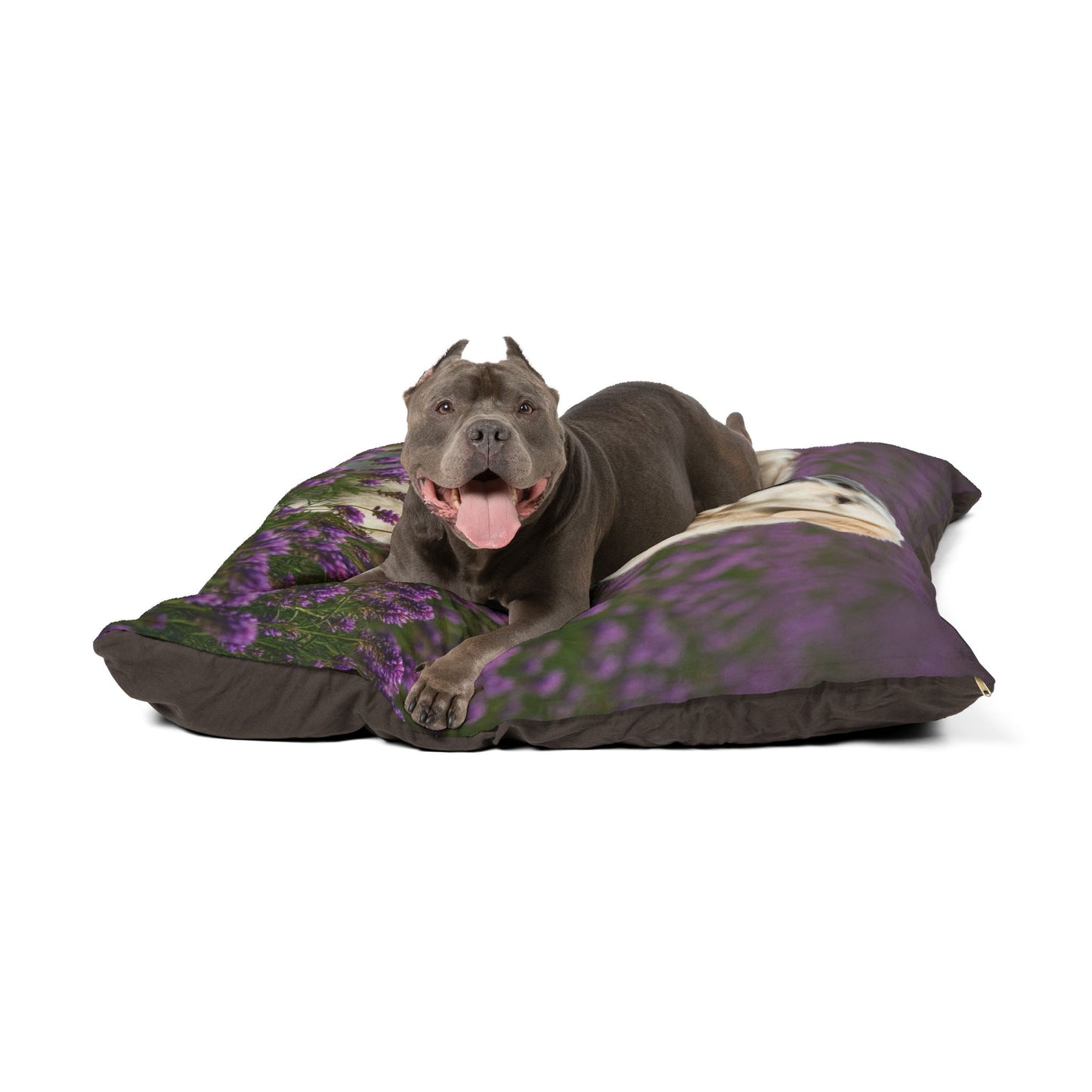 Kuvasz Pet Bed