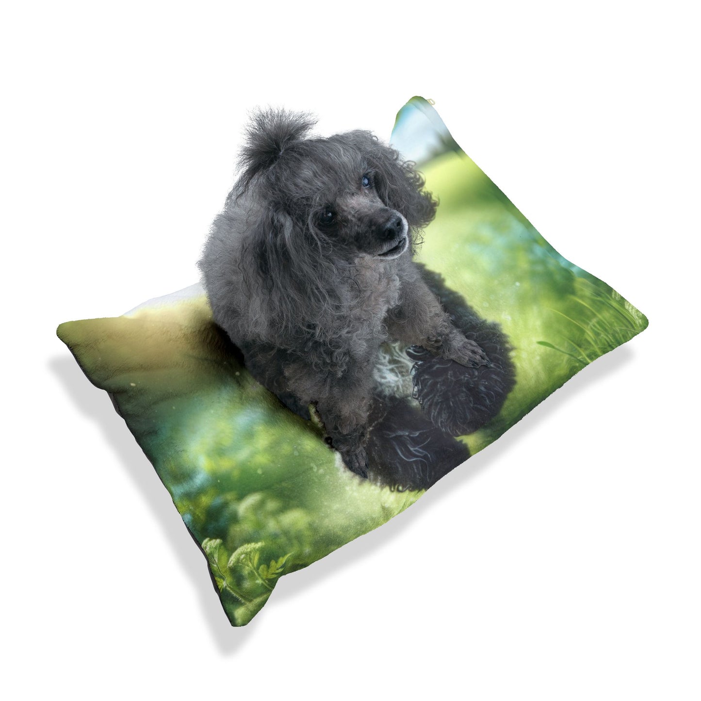Portuguese Water Dog Pet Bed