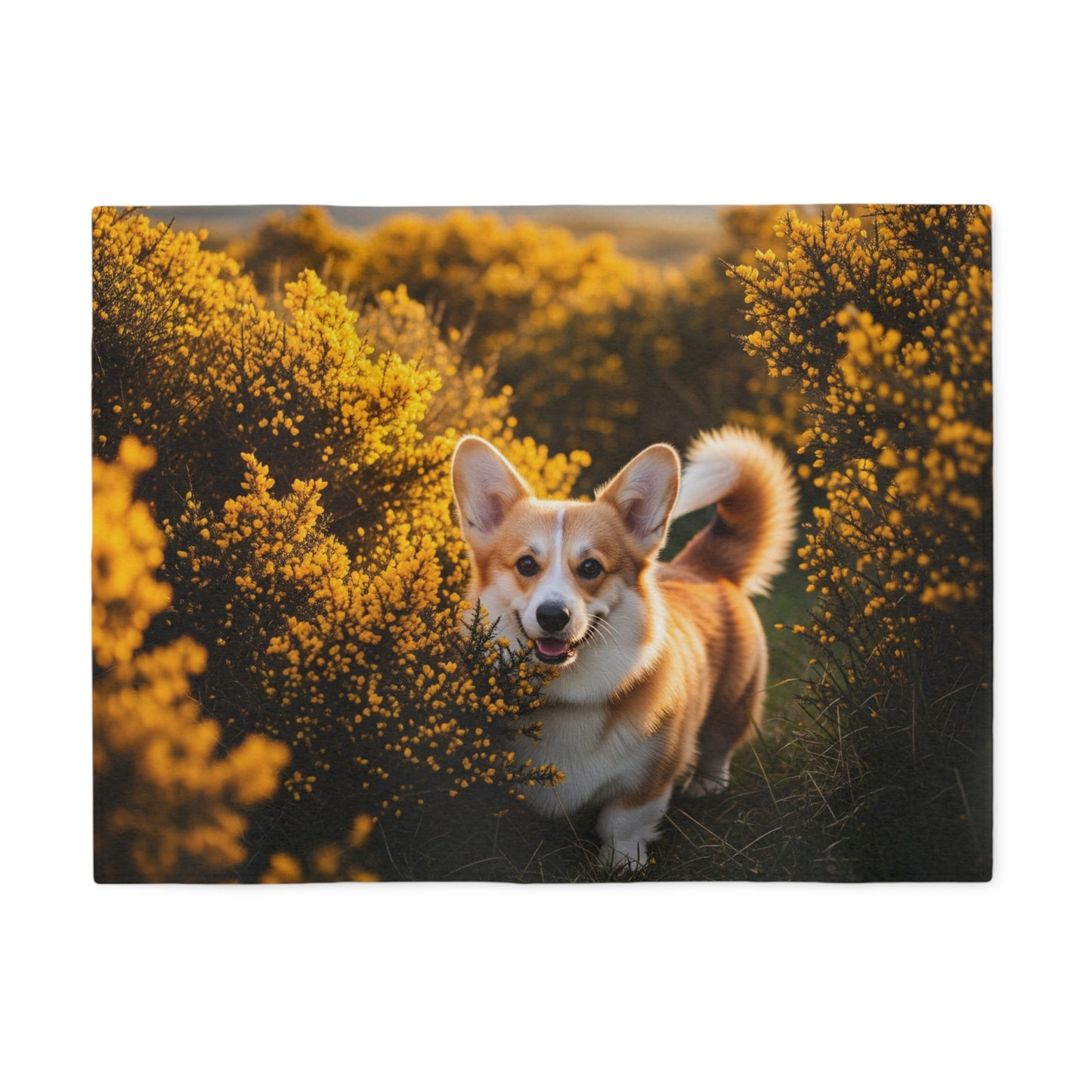 Manta sudadera con diseño de Pembroke Welsh Corgi