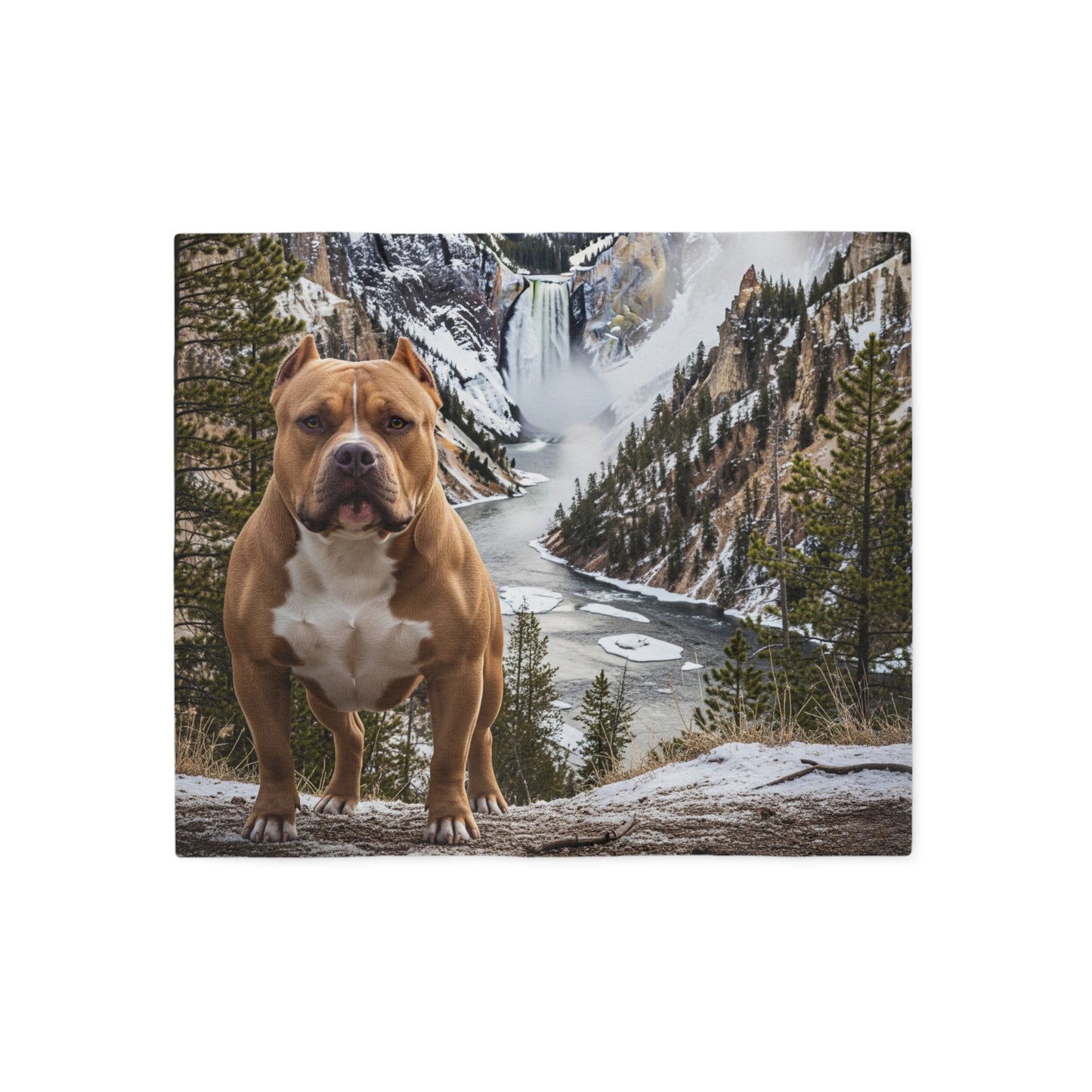 American Bully Blanket
