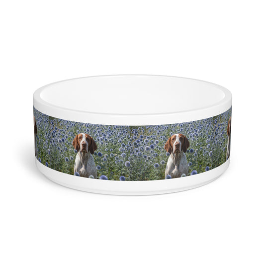 Braque Francais Pyrenean Pet Bowl