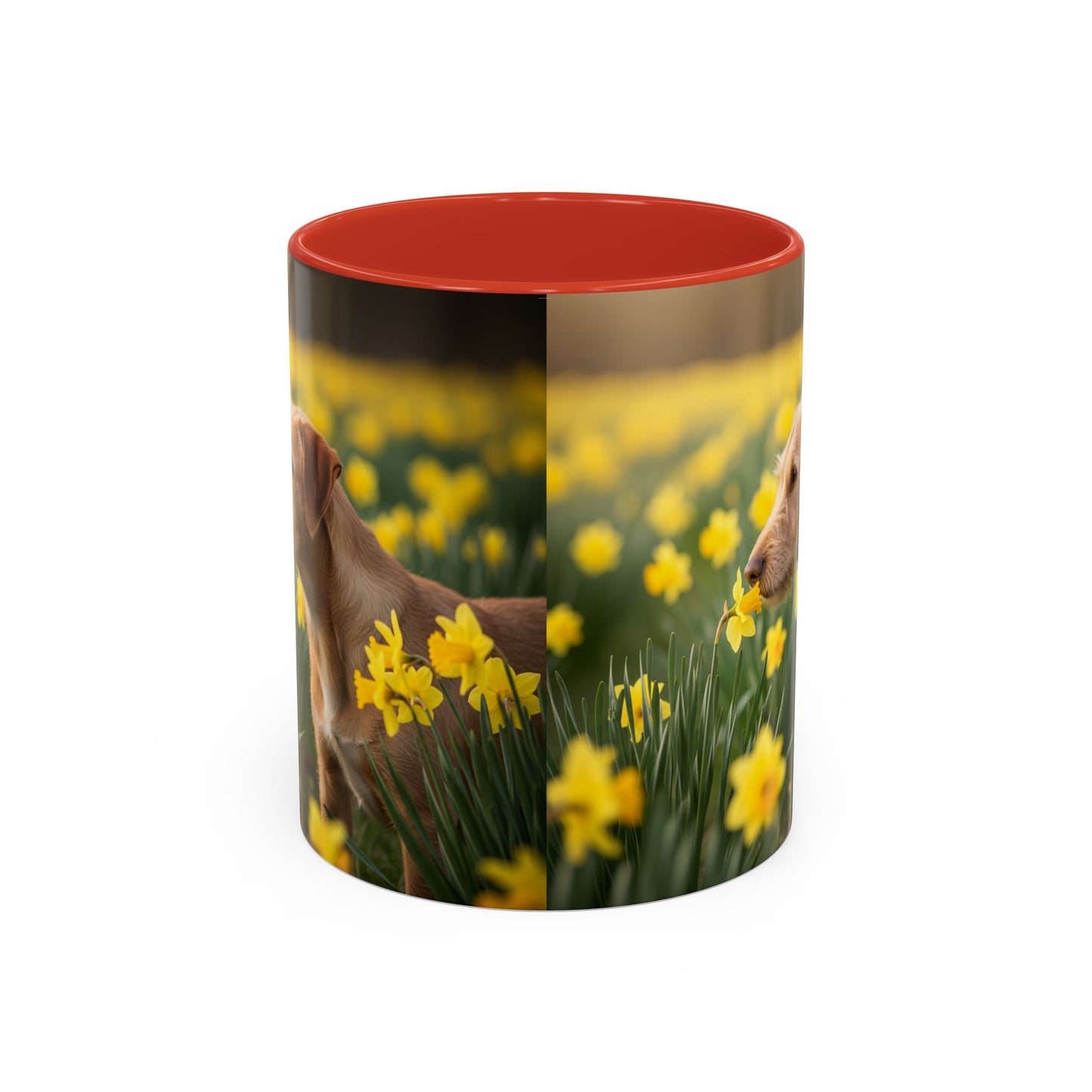 Mug à café avec motif Podengo Pequeno portugais - Cadeau idéal pour les amoureux des chiens