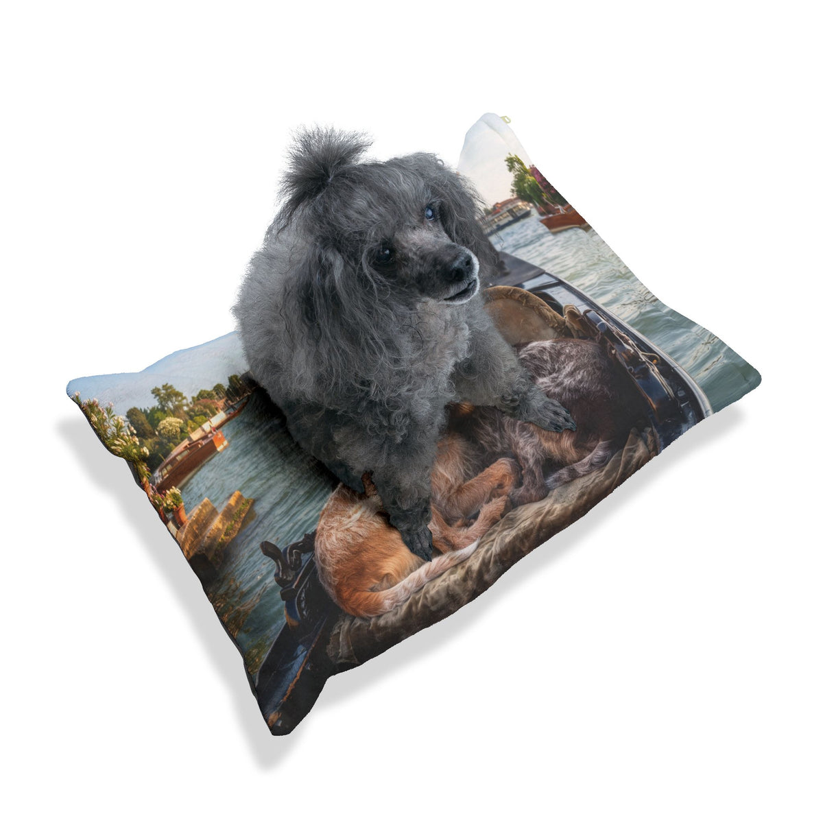 Spinone Italiano Pet Bed