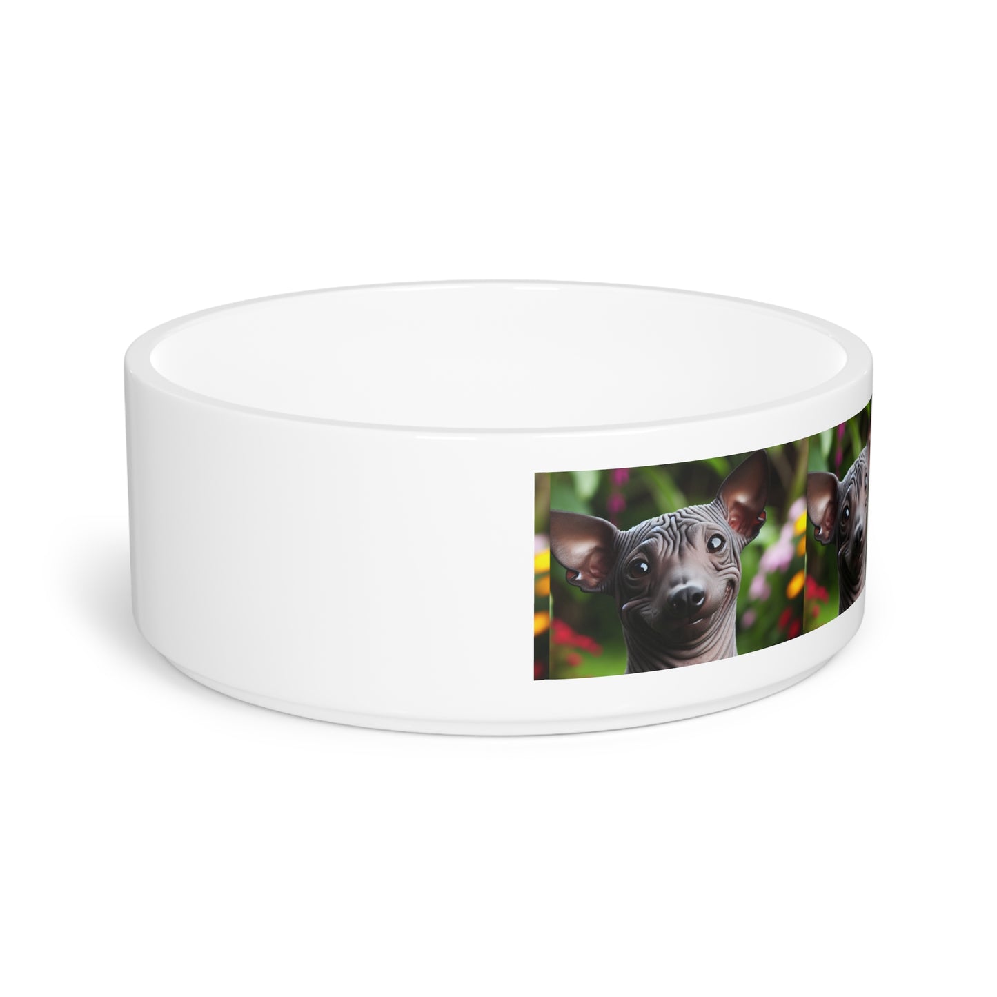 Peruvian Hairless Dog Pet Bowl