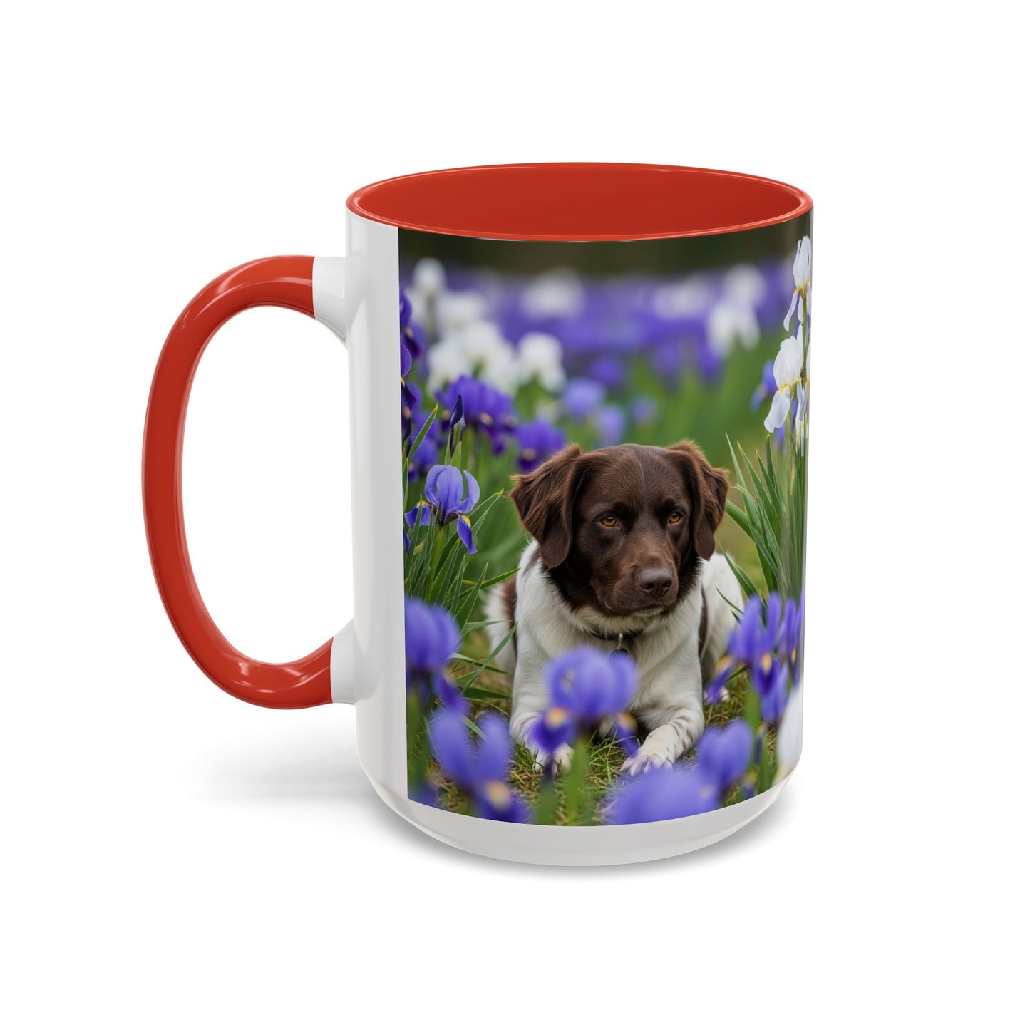 Mug Stabyhouns Accent - Cadeau idéal pour les amoureux des chiens