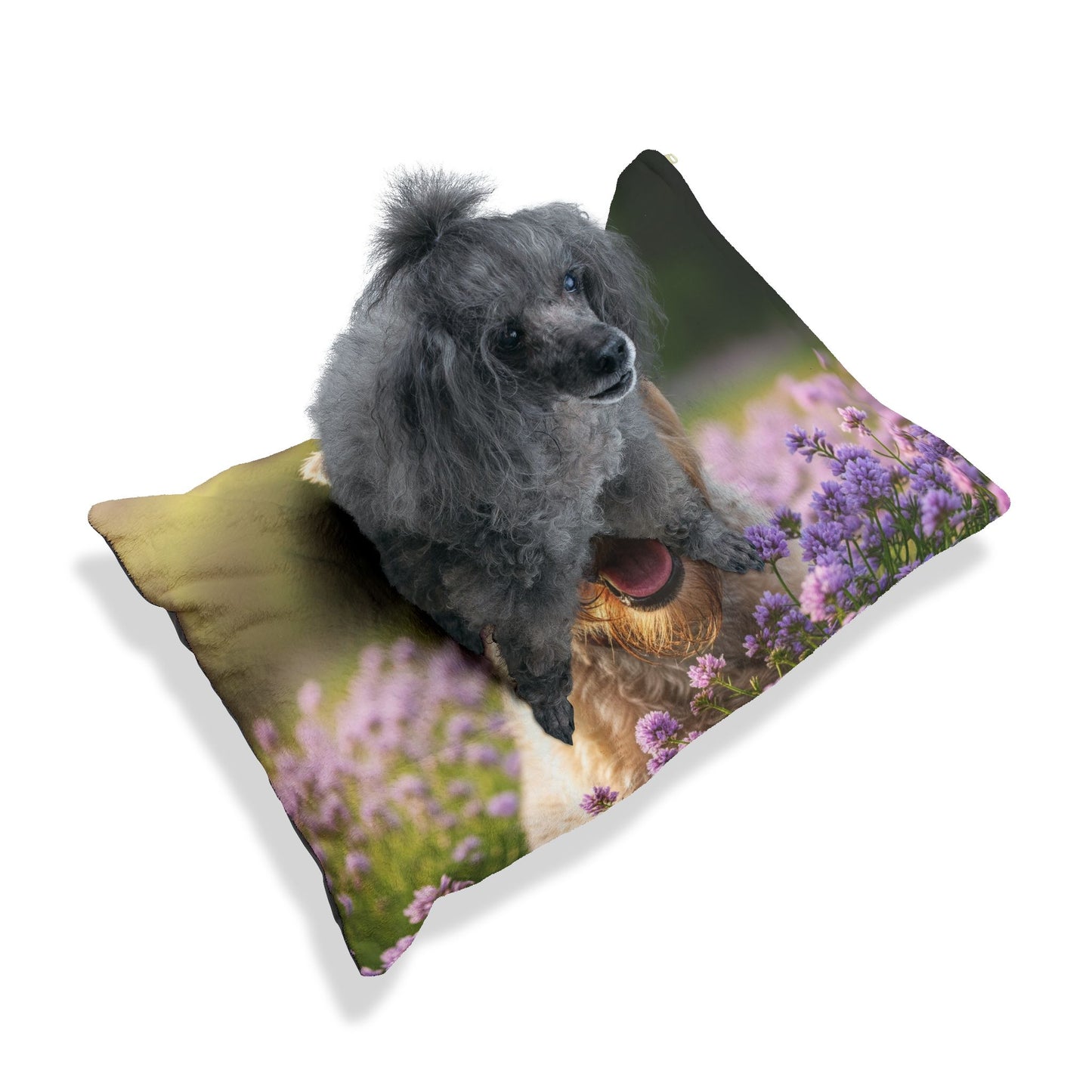 Cama para mascotas Soft Coated Wheaten Terrier