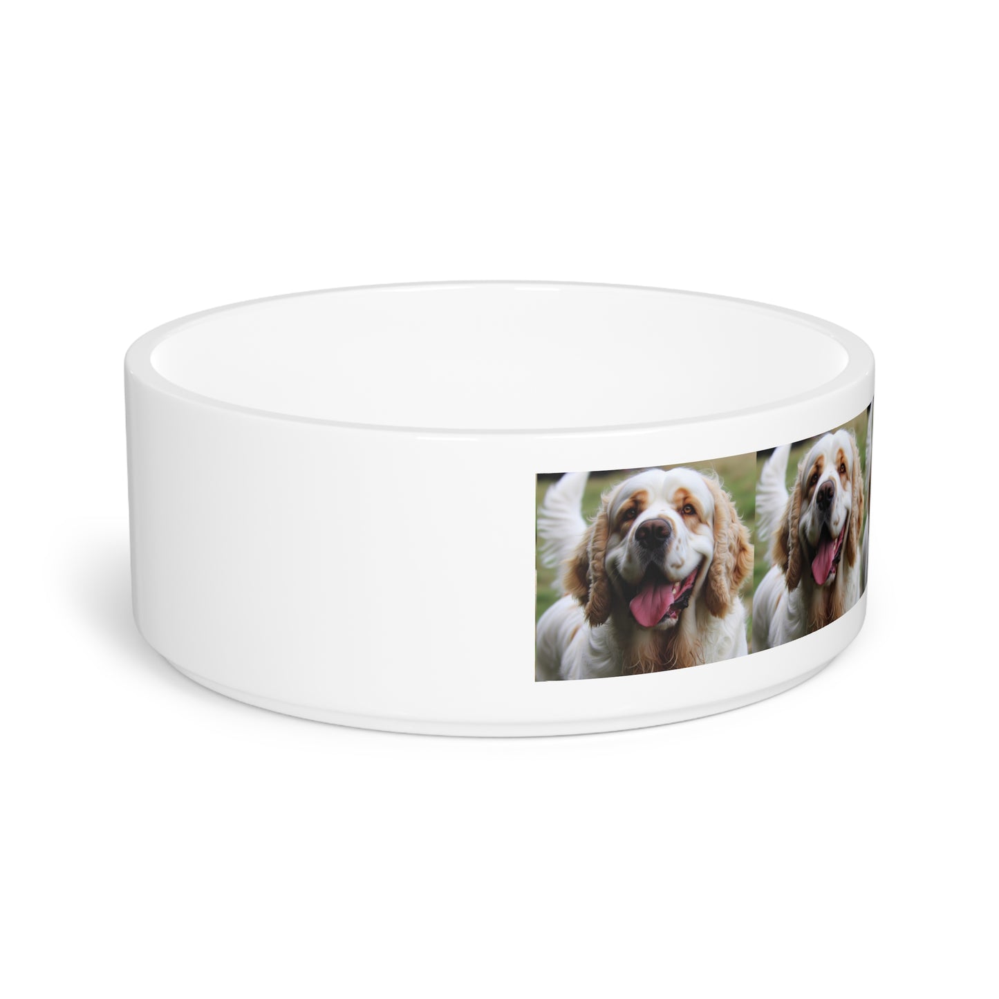 Clumber Spaniel Pet Bowl