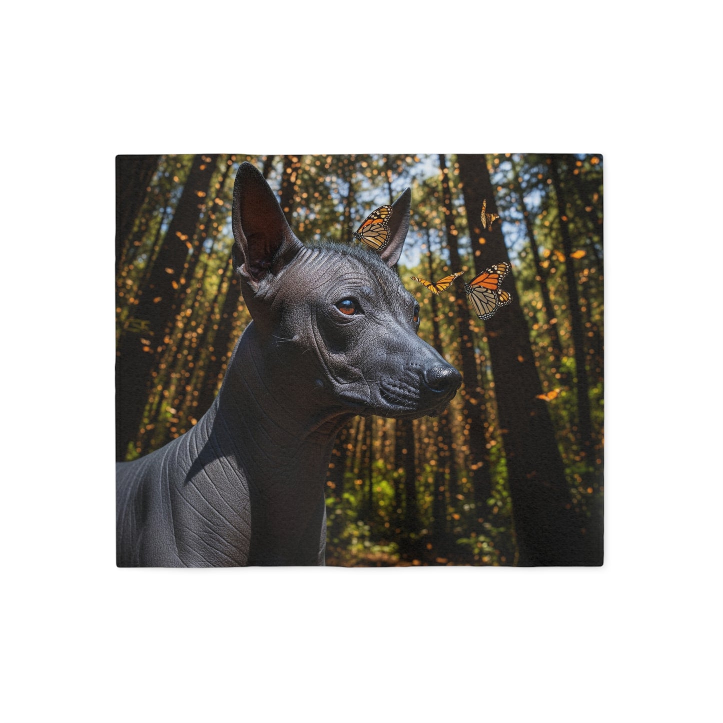 Xoloitzcuintli Blanket