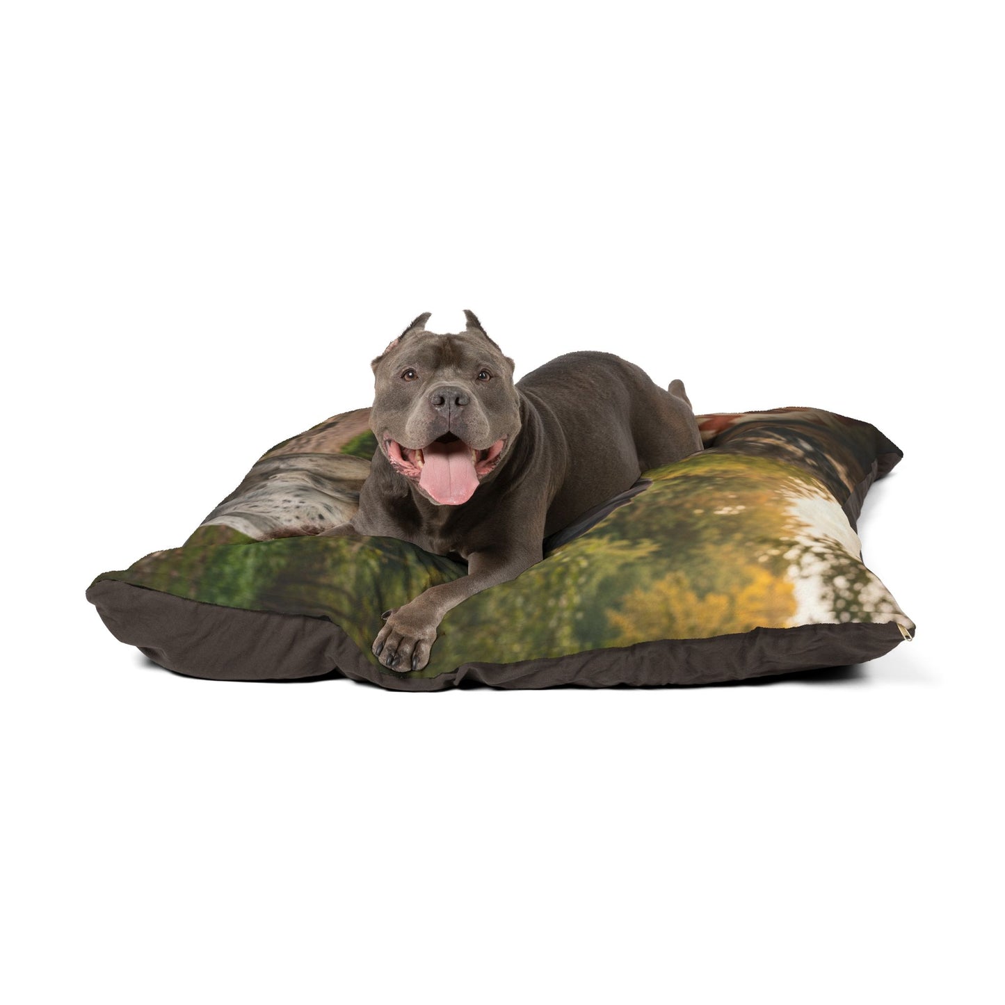 Braque d'Auvergne Pet Bed