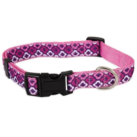 Collier pour chien Aspen