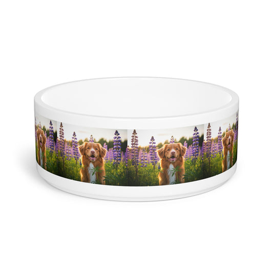 Nova Scotia Duck Tolling Retriever Pet Bowl
