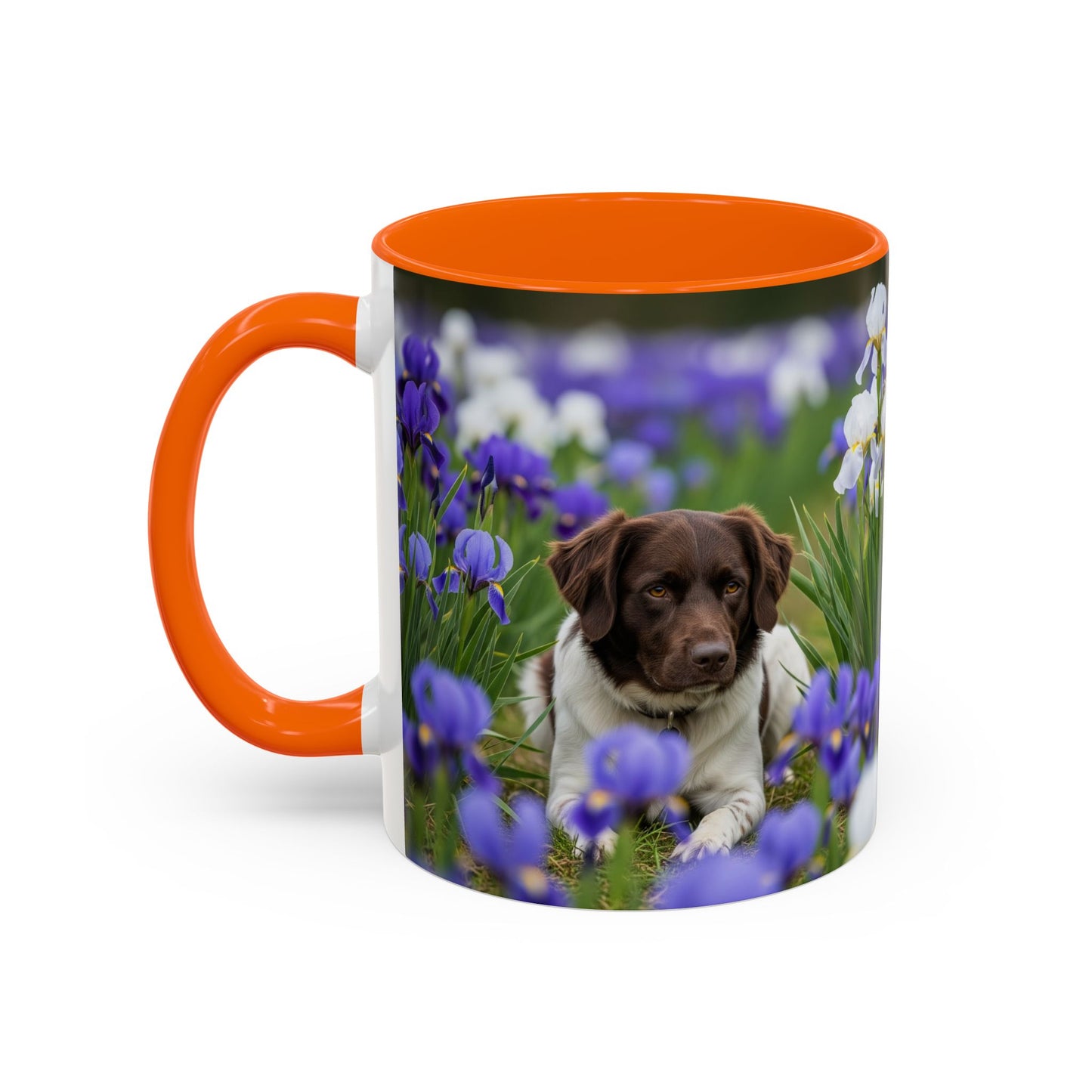 Mug Stabyhouns Accent - Cadeau idéal pour les amoureux des chiens