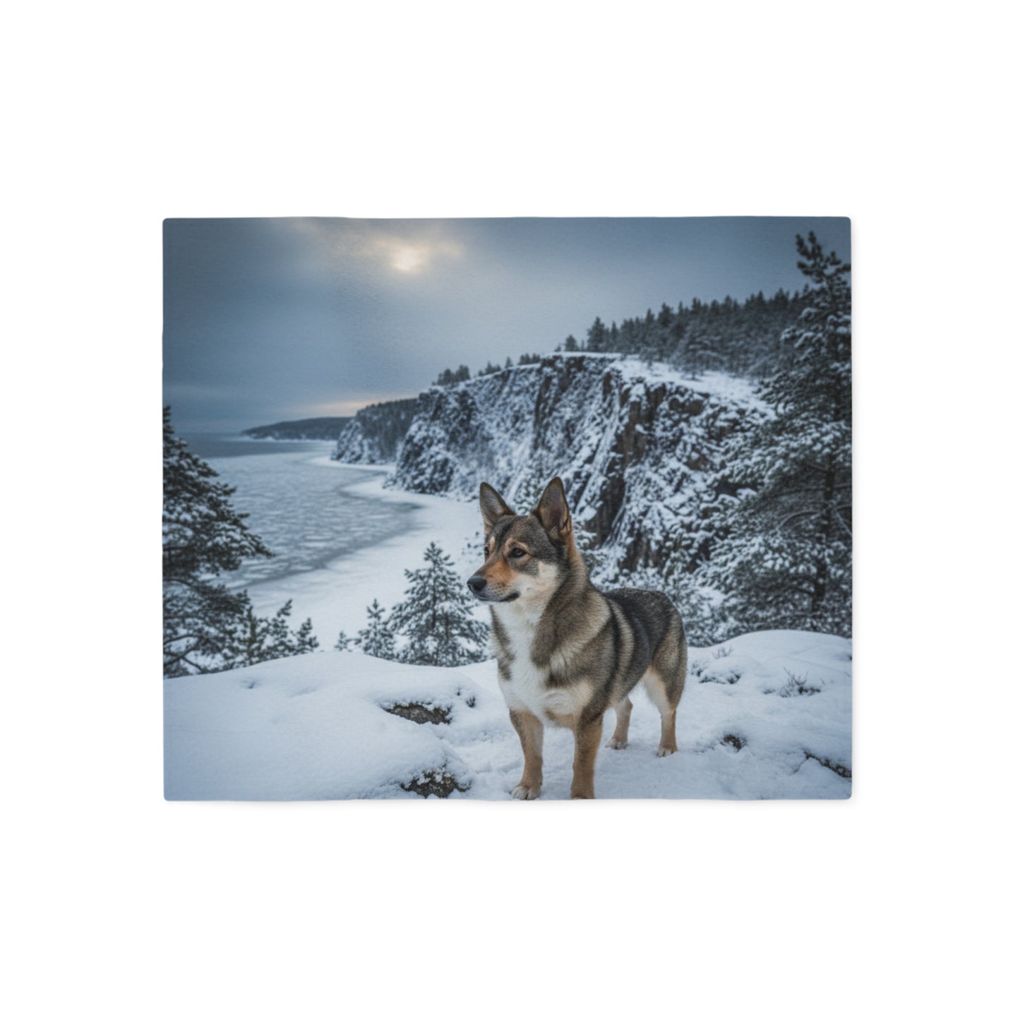 Swedish Vallhund Blanket