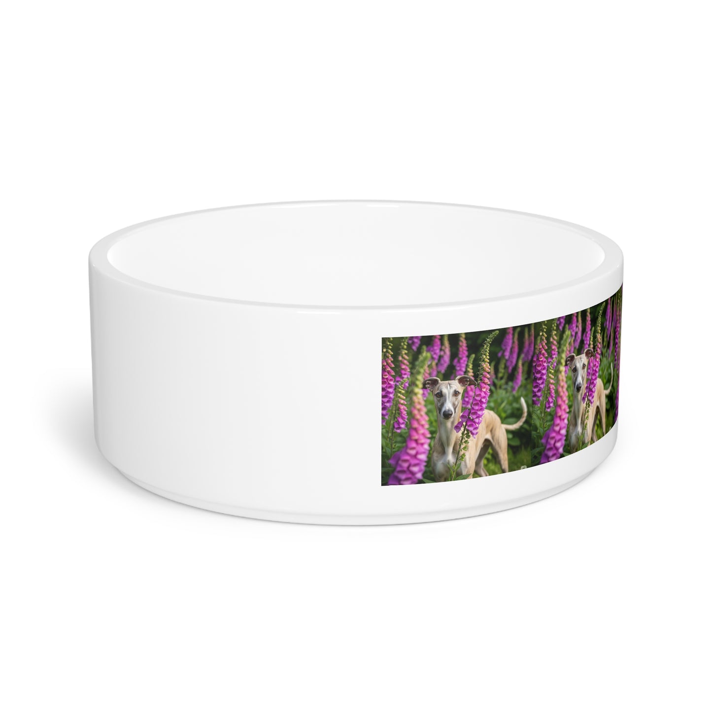 Whippet Pet Bowl