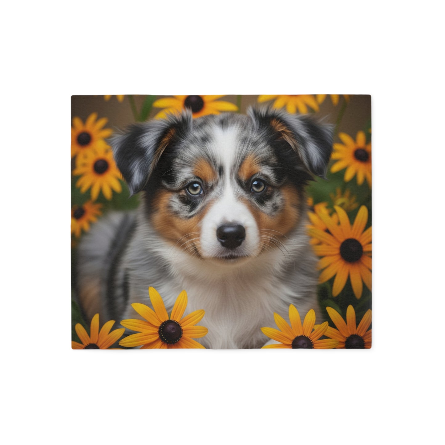 Miniature American Shepherd Sweatshirt Blanket