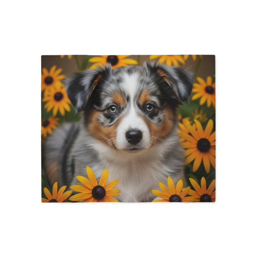 Miniature American Shepherd Sweatshirt Blanket