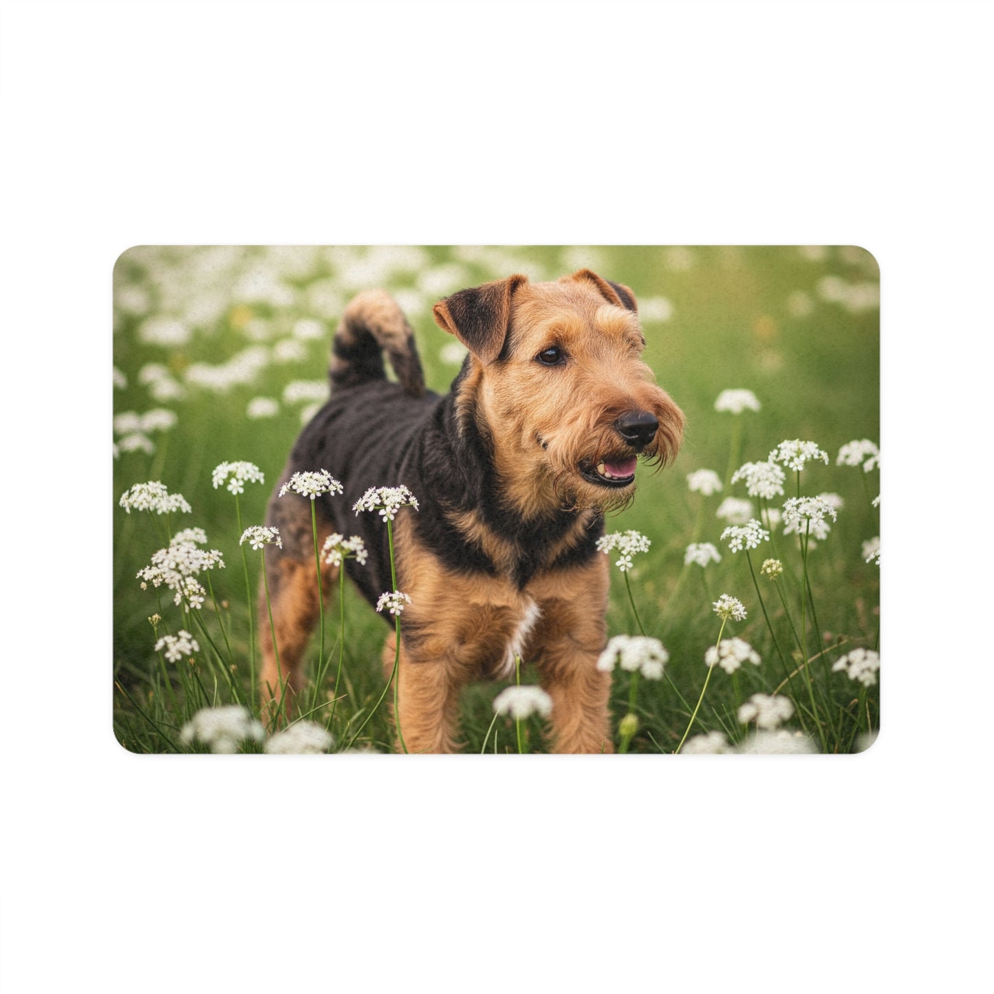 Pet Food Mat (12x18) - Lakeland Terrier