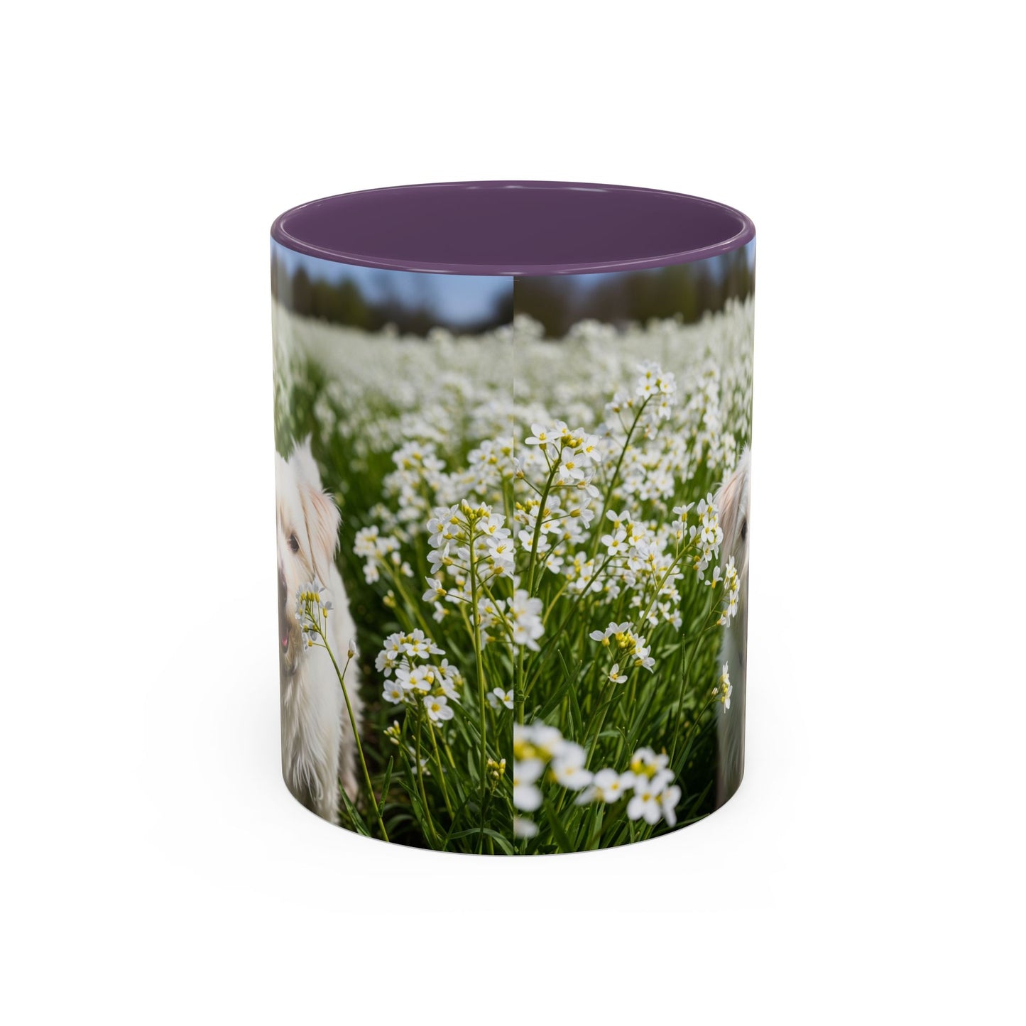Taza de café con acento Kromfohrlander: el regalo perfecto para los amantes de los perros