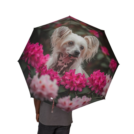 Chinese Crested Semi-Automatic Foldable Umbrella