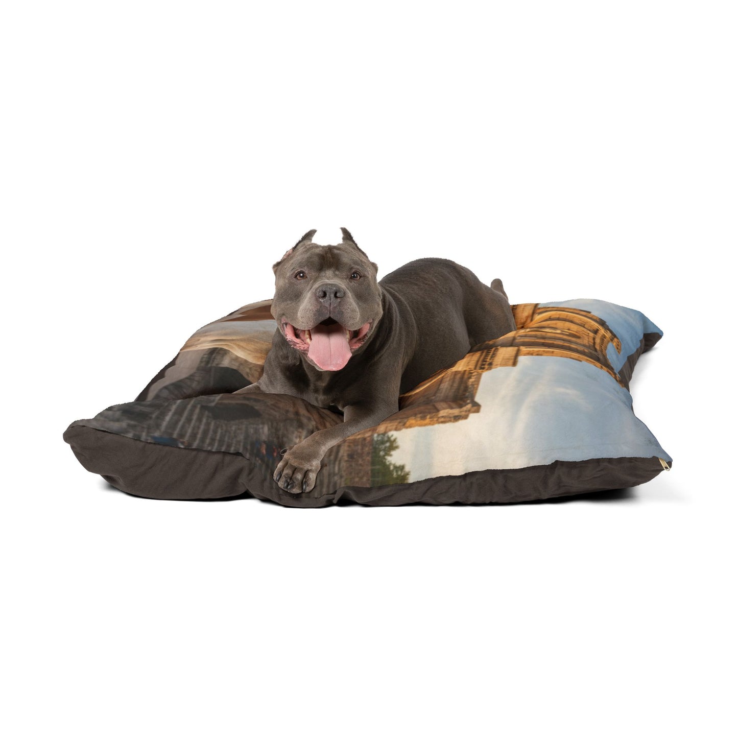Chien Français Blanc Pet Bed