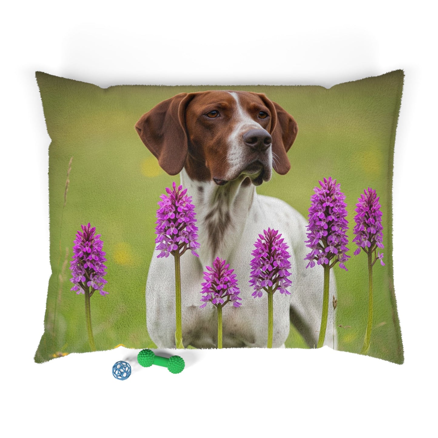 Pointer Pet Bed