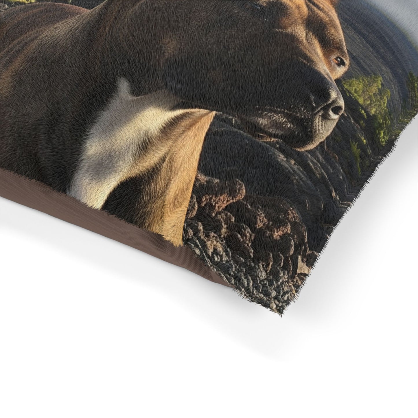 Pit Bull Pet Bed