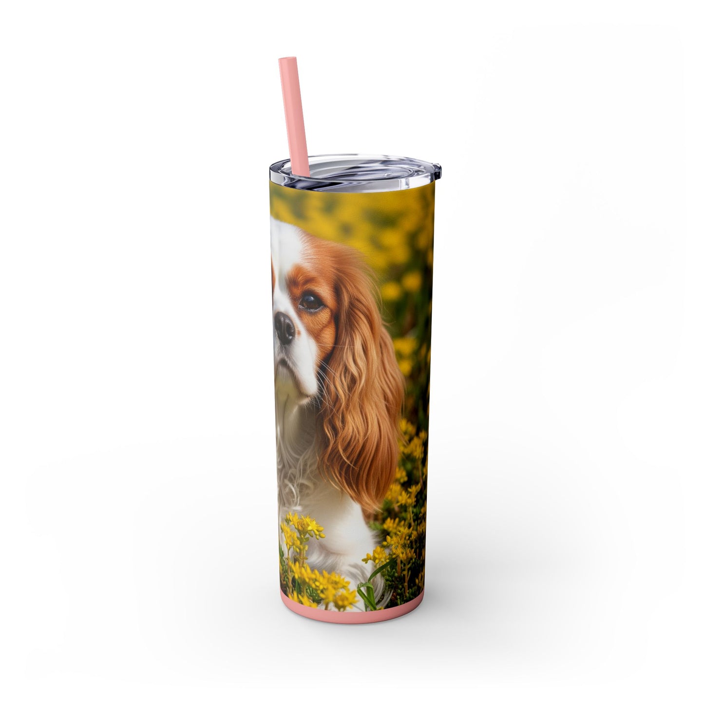 Skinny Tumbler with Straw – 20 oz Stainless Steel Cup