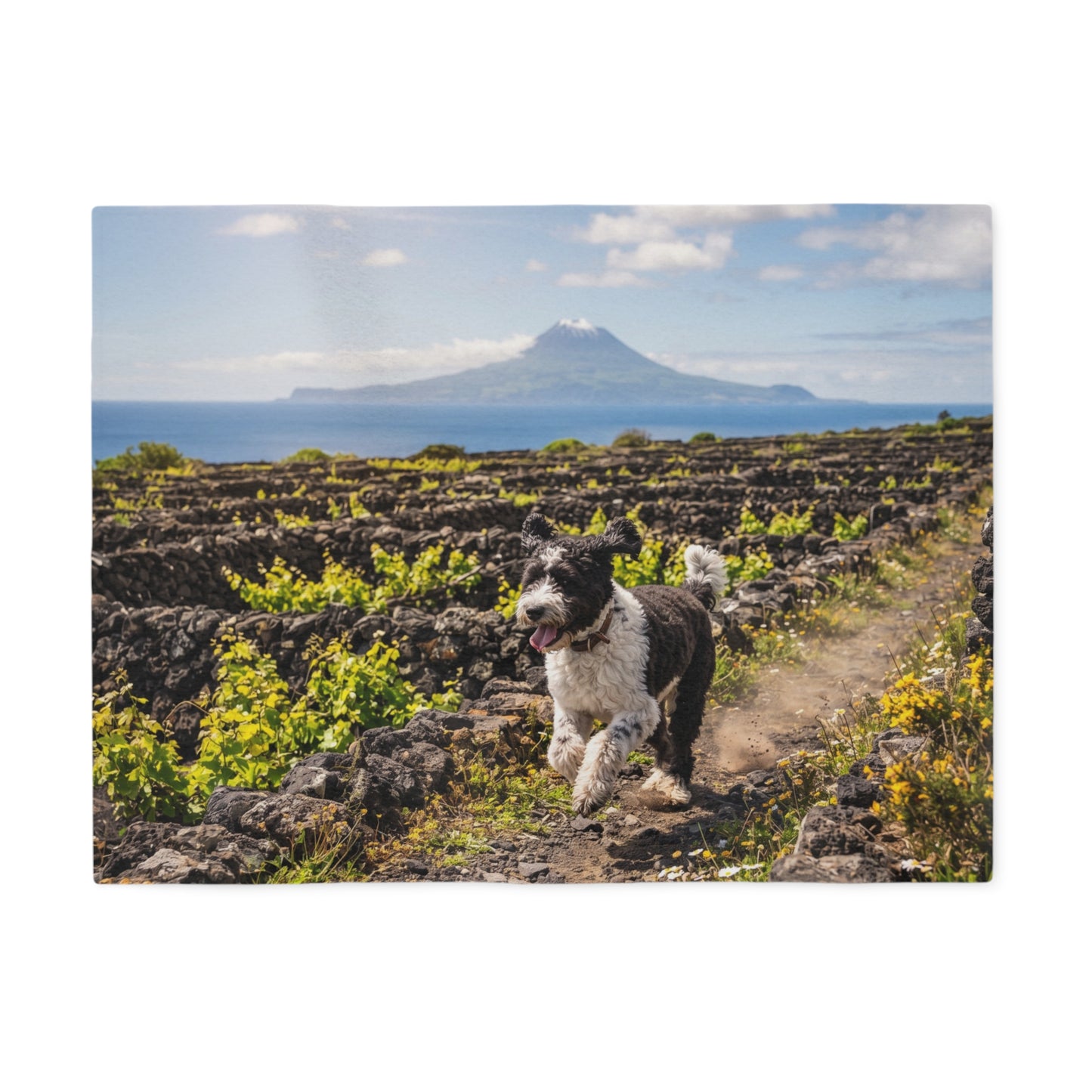 Portuguese Water Dog Blanket