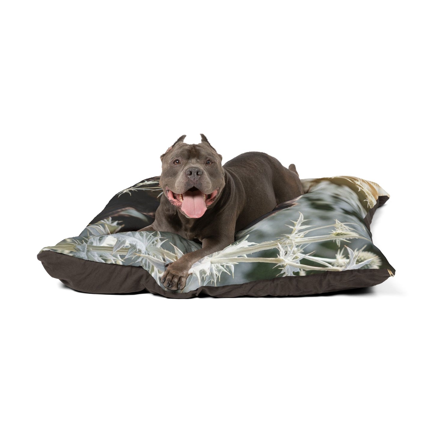 Affenpinscher Pet Bed