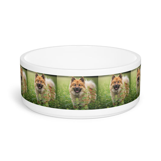Eurasier Pet Bowl
